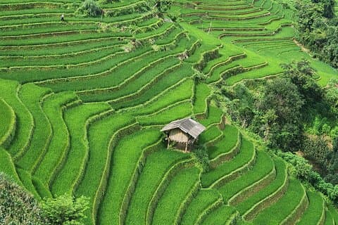 3 jours de randonnée Mu Cang Chai Hidden Trails