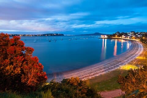 Erkunden Sie EAST AUCKLAND & Scenic View Ferry Return - Halbtagestour