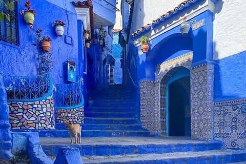 Excursion d'une journée partagée à Chefchaouen Blue City avec Guide et Transport