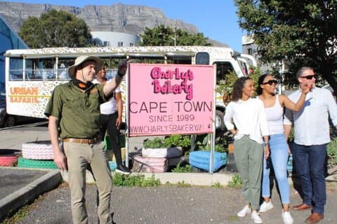 Kaapstad: Hop-on Hop-off Bus & Stadscombo met stadssafari