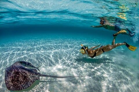 Day Pass til Cozumel Snorkeling med båt