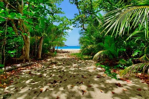 Ein bisschen von allem Tour & Strand mit Rum Punch (privat)