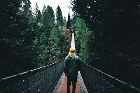 Small Group Vancouver Tour with Capilano Suspension Bridge