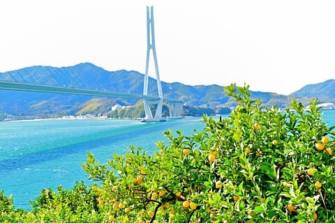 Pedal genom konst Ikuchijima Island cykeltur