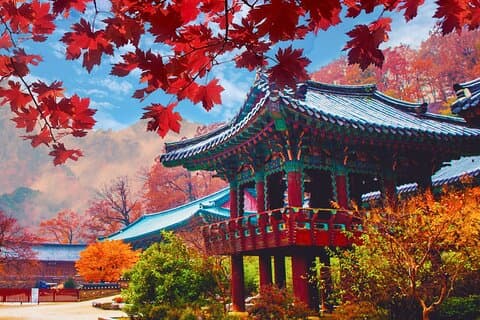 Naejangsan Höstlövverk Dagstur från Seoul eller Busan