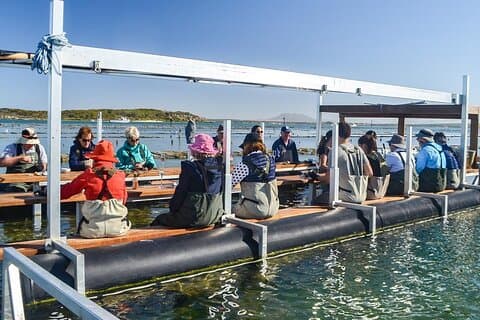 Oyster Farm Tour med hotel afhentning og retur fra Port Lincoln