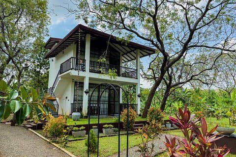 Budget Yala Safari Séjour auberge de jeunesse de 1 nuit et repas à Tissamaharama