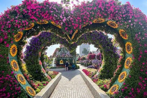 Billets d'entrée pour Dubai Miracle Garden
