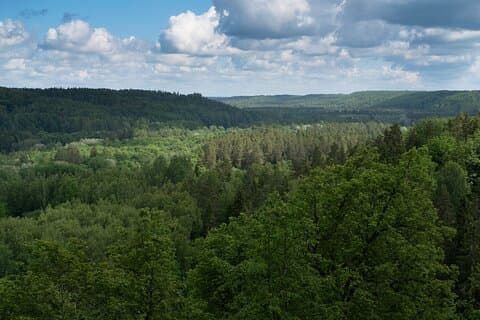 リガから：シグルダで写真家とガウジャ国立公園ハイキング