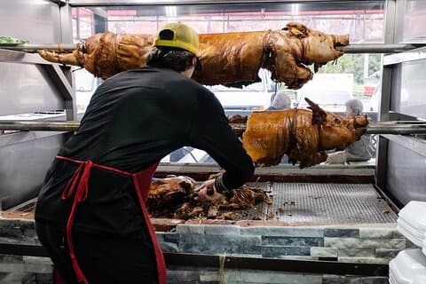 Pork Highway og regnskov Excursion med transport