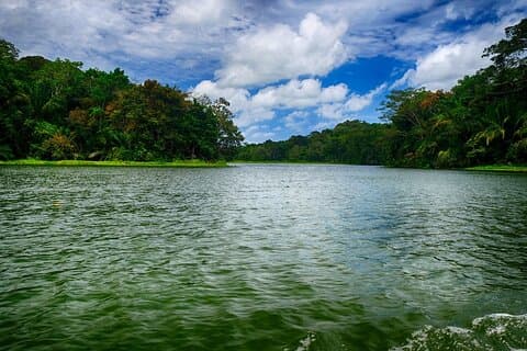 Expedição de fauna selvagem do lago Gatun e Miraflores bloqueia passeio privado