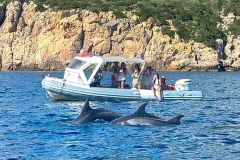 Från Olbia: RIB-tur till Capo Figari med delfinobservation