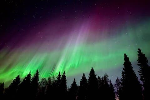 Aurora BBQ im privaten Ort in Rovaniemi