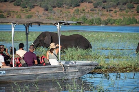 Cascate Vittoria e Chobe Explorer
