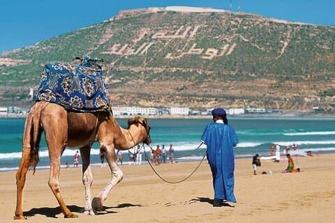 Kamelritt in Agadir