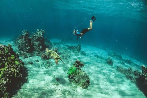 Ganztägiges Cancun ATV Zipline und Cenote Abenteuer mit Schnorcheln