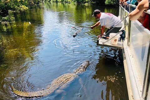 Swamp Boat Ride und Whitney Plantation Tour von New Orleans