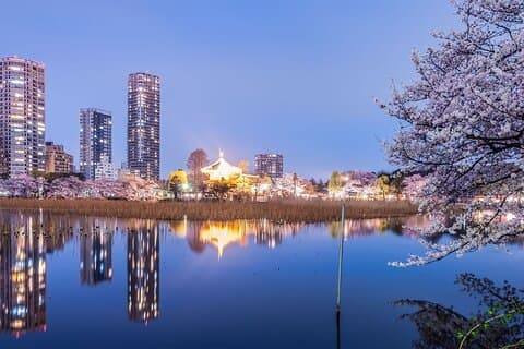Tokyo Ueno Food & Nature & Localtown Tour: 10Dishes+ Drinks