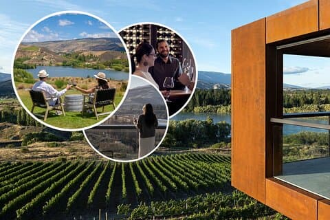 Tour privado de lujo por el centro de Otago para 2-4 personas