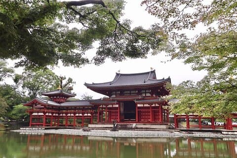 Visite de la matinée de Kyoto Uji Matcha avec Guide anglophone