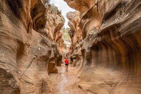 Caminata para toda la familia en el famoso cañón de la ranura de Willis Creek