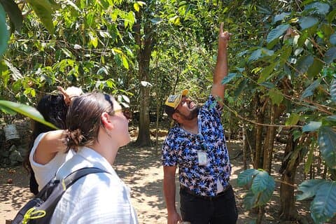Puerto Vallarta Botanical Garden and Tequila Tasting Tour