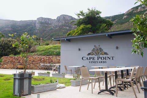 Cidade do Cabo Private Tour Table Mountain Penguins and Cape Point