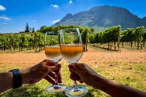 Kefalonia Wine Tour com 18 degustações em três vinícolas