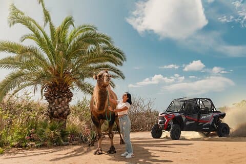 UTV Seite an Seite Erlebnis und Kamelritt in Los Cabos