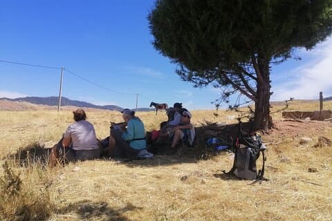 Ifrane Wanderabenteuer : Alte Zedern & Barbarenmakrelen