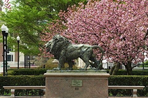 Columbia University Scavenger jagt og flugt spil