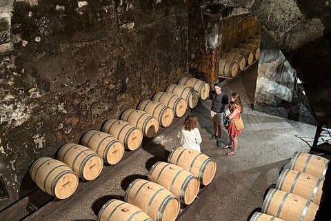 Bordeaux: Wine Tour and Tasting