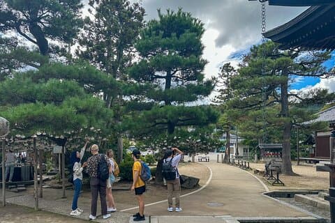 All-Inclusive Kyoto Day Tour: Amanohashidate, Miyama eller Ohara