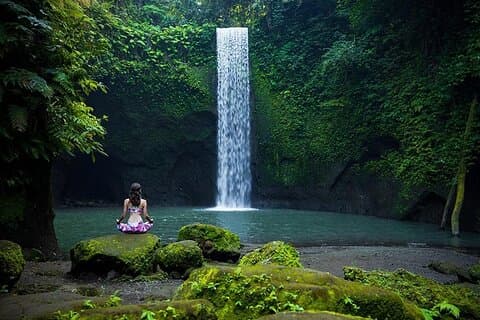 Bali Ubud Cascata, terrazze di riso e Monkey Forest Tour privato