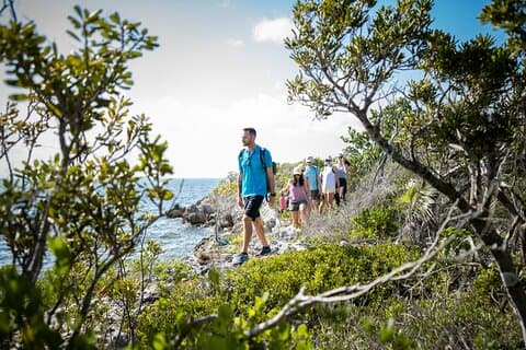 Mangroven- und Küstenpfadwanderung in kleiner Gruppe in Grand Cayman