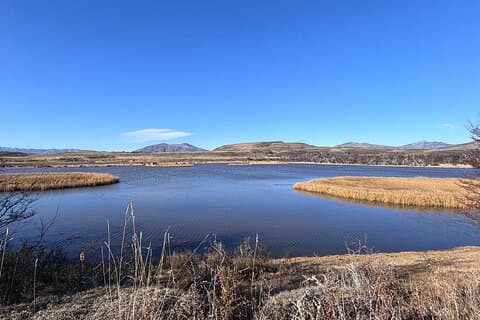 Fugler og fauna i Chilean Patagonia Privat tur