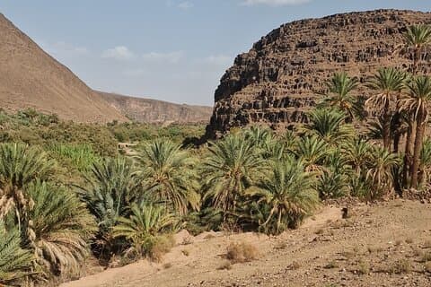 Nature Thrill Adventure Discover Draa Valley By Quad