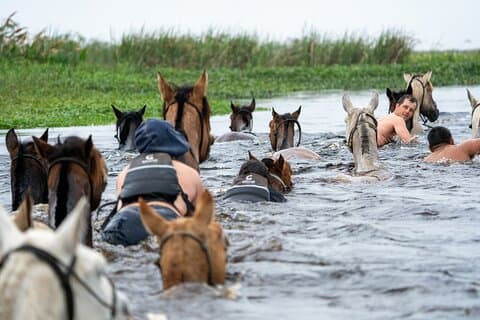 Esteros del Iberá a Caballo: Una Experiencia Gaucha Inolvidable