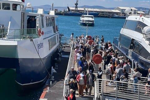 Robben Island Museum billettferge halvdagstur