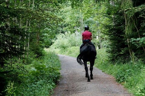 カンクン半日:乗馬、ATV、ジップライン&セノーテ