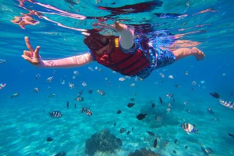 Snorkeltur i Cozumel og svømning med skildpadder i El Cielo
