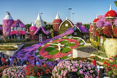 Dubai Miracle Garden Skip The Line E Ticket with Transport Option