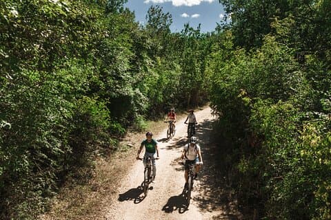Elcykeltur med picnic eller naturlig vinsmagning