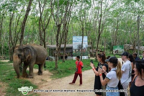 Khao Lak Elephant Sanctuary Small-Group Guided Tour