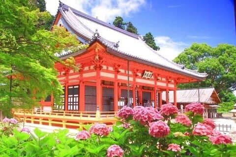 Osaka Katsuo-ji Temple Naturlig attraksjon billett