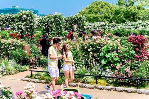 Hoteller i nærheden af Yokohama Walking Tour