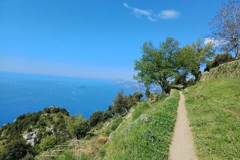 De Lemon Trail is een wandeltocht door de geschiedenis van citroenboomgaarden met een lokale gids.