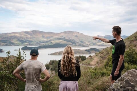 Banks Peninsula Explorer Tour (Halbtagestour privat)