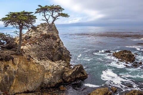 Monterey, Big Sur, 17 Mile Dr. 3.5 hrs Private Tour 1 - 12 ppl