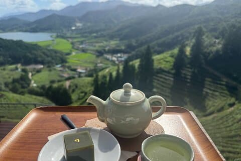 Korean Green Tea Tour - from Boseong to Gangjin (Private)
